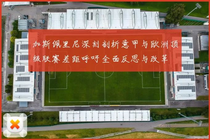 加斯佩里尼深刻剖析意甲与欧洲顶级联赛差距呼吁全面反思与改革
